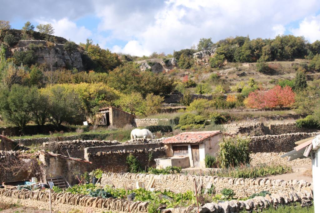 Casa Rural Las Dalias Con Hidromasaje Guest House Villafranca del Cid Exterior photo