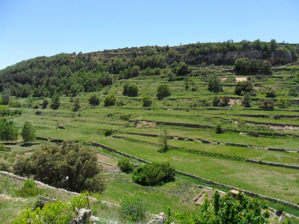 Casa Rural Las Dalias Con Hidromasaje Guest House Villafranca del Cid Room photo