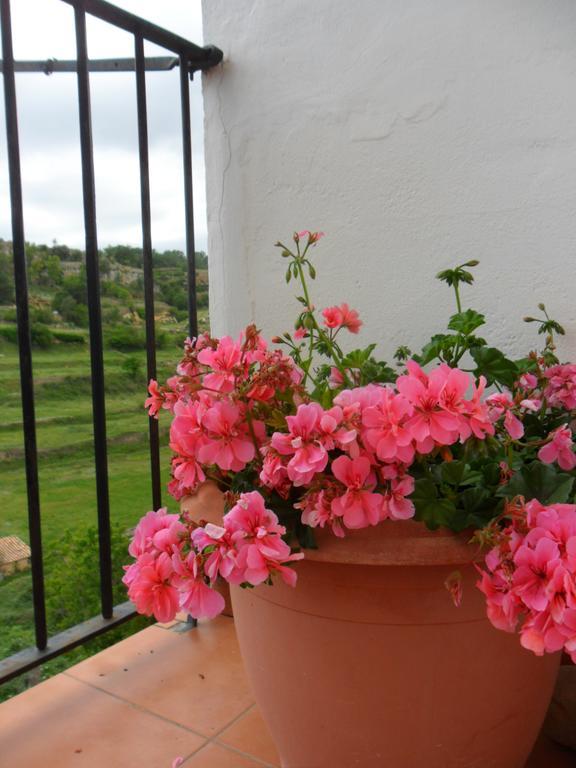 Casa Rural Las Dalias Con Hidromasaje Guest House Villafranca del Cid Exterior photo